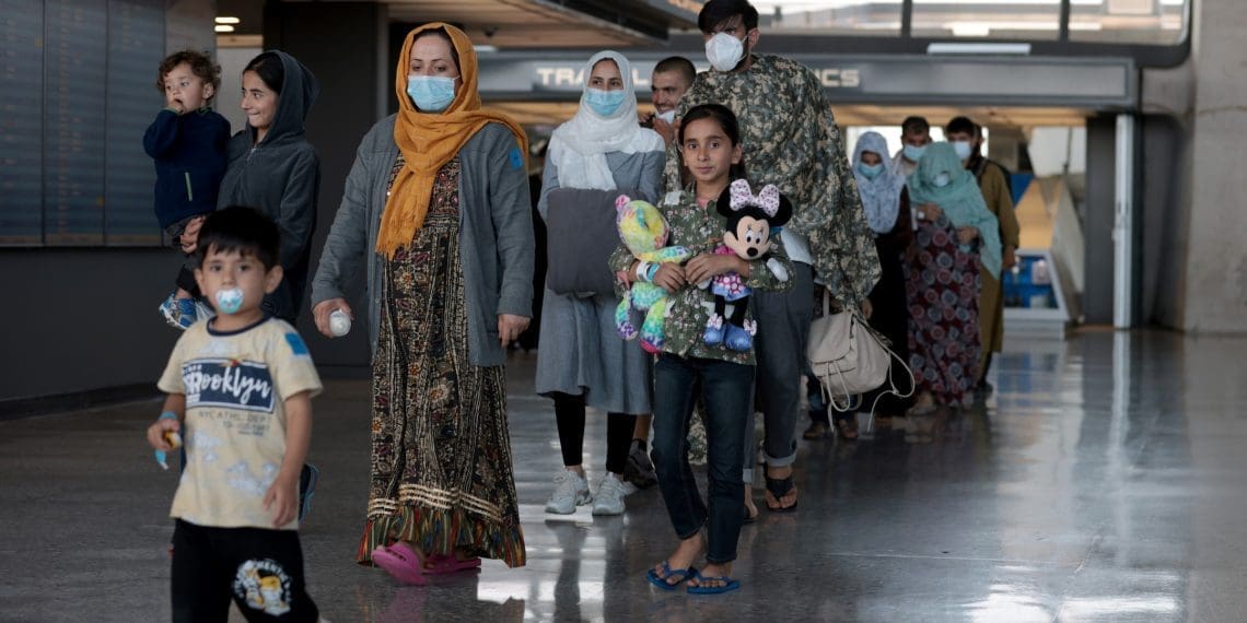 بی‌آشیانه‌گی پرنده‌ها؛ آیا جهان در برابر پناه‌جویان افغانستان راست‌گو است؟