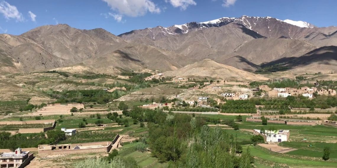 حمله‌ی «جبهه‌ی آزادی» به کارکنان استخباران طالبان