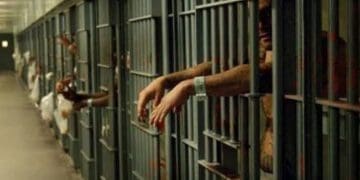 پاکستان: پناهندهی افغانستانی بهدلیل داشتن مدارک جعلی بازداشت شد