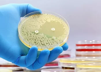 کشف آنتی‌بیوتیک جدید با استفاده از هوش مصنوعی توسط دانشمندان
