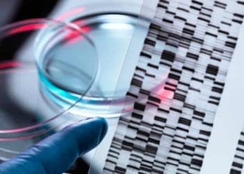 خواست برندگانِ جایزه‌ی نوبل از اتحادیه‌ی اروپا برای کاهش قوانین اصلاح ژنیتیکی