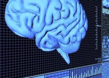 مطالعه‌ی جدید: مغز انسان با تفکرِ زیرک و انعطاف‌پذیر می‌تواند هوش مصنوعی را شکست بدهد