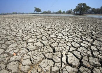 گزارش انستیوت خاورمیانه: بحران‌های سیاسی و بشری آسیب‌پذیری افغانستان از تغییرات اقلیمی را تشدید می‌کند‌