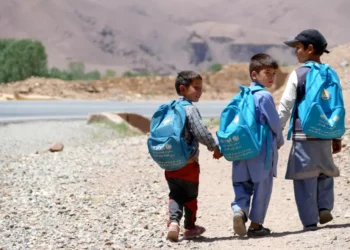 منع آموزش دختران؛ وزیر معارف طالبان از جامعه‌ی جهان خواست تا از روند آموزش و پرورش افغانستان حمایت کنند