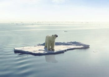 ناسا: گرمای هرماه در سال گذشته رکورد گرمای تاریخ زمین را شکسته است