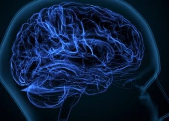 یک گونه‌ی جدید سیگنال در مغز انسان شناسایی شد