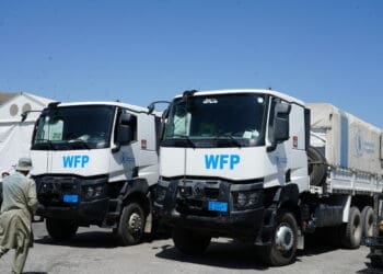 برنامه‌ی جهانی غذا: از ۱۱ میلیون گرسنه در افغانستان فقط ۱ میلیون آنان را کمک می‌توانیم