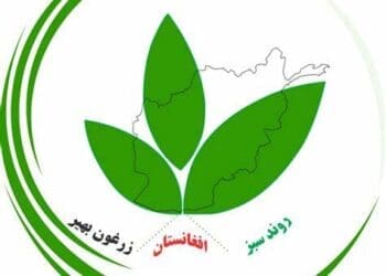 وارسا: طالبان در پیوند به کشته‌ شدن ۱۴ تن از هزاره‌‌ها در دایکندی، یکی از ولسوال‌های ولایت غور را دست‌گیر کرد