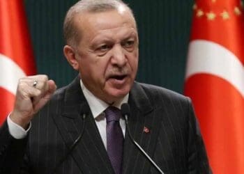 اردوغان: سازمان ملل باید با زور اسرائیل را متوقف کند