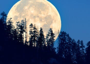 بزرگ‌ترین ماهِ ا‌م‌سال امشب در آسمان خواهد درخشید