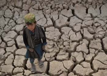 ۱۲ میلیون تن در گرسنگی حاد؛ بحران اقلیمی زنان و کودکان افغانستان را درهم می‌فشارد