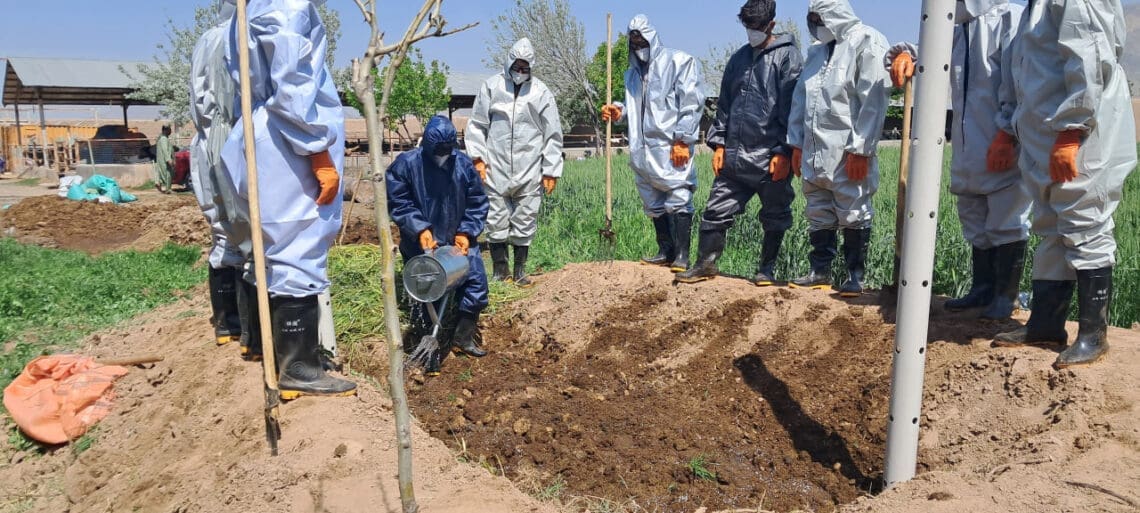 امریکا به کشاورزان افغانستان روشهای جدید و سازگار با محیط زیست را آموزش میدهد
