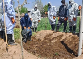 امریکا به کشاورزان افغانستان روش‌های جدید و سازگار با محیط زیست را آموزش می‌دهد