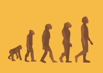 نظریه‌ی تکامل داروین و واکنش‌ها به آن در افغانستان