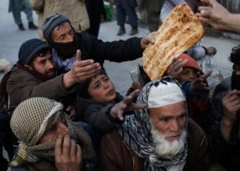 برنامه‌ی جهانی خوراک: درگیری‌ها و بلایای طبیعی حق دسترسی به خوراک را تهدید می‌کنند