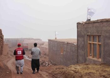 صلیب سرخ نزدیک به ۳۰۰ خانه برای زلزله‌زدگان ساخته‌است