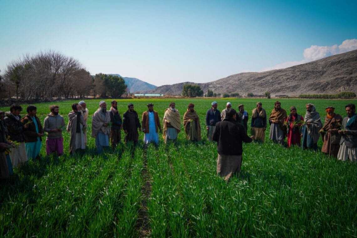 «فاو» میگوید که در سال گذشته برای بیش از ۱۹ هزار کشاورز در کشور برنامه آموزشی برگزار کردهاست