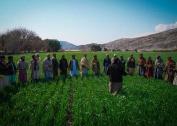 «فاو» می‌گوید که در سال گذشته برای بیش از ۱۹ هزار کشاورز در کشور برنامه آموزشی برگزار کرده‌است