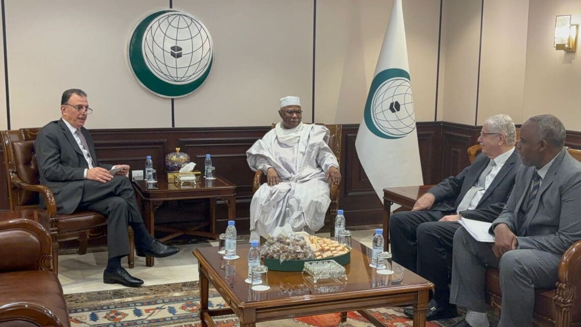 دبیرکل سازمان همکاری اسلامی: حمایت از «آرمان فلسطین» اولویت بنیادین ماست