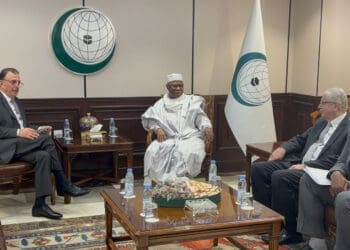 دبیرکل سازمان همکاری اسلامی: حمایت از «آرمان فلسطین» اولویت بنیادین ماست