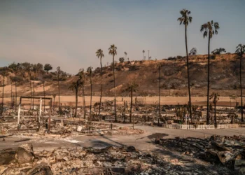 افزایش قربانیان آتش‌سوزی در لس‌آنجلس؛ آتش‌نشانان هم‌چنان در مهار آتش ناکام مانده‌اند