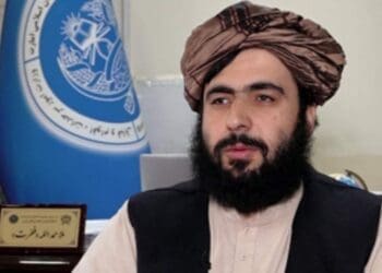 طالبان در واکنش به اظهارات وزارت خارجه پاکستان: تمامی سلاح‌ها در افغانستان «محفوظ» است