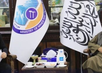 وزیر معادن و پترولیم طالبان با رییس پروژه تاپی دیدار کرد