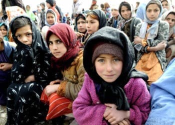 دبلیو‌اف‌پی: کاهش کمک‌های امریکا تاثیر منفی بر زندگی شهروندان نیازمند افغانستان دارد