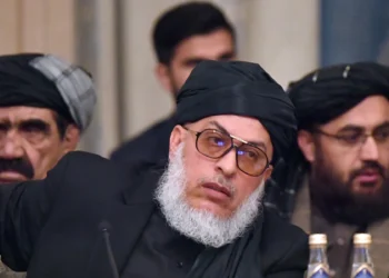 استانکزی: استفاده‌ از «مادر بمب‌ها» و سلاح‌های کیمیاوی اقلیم و اقتصاد افغانستان را آسیب زد