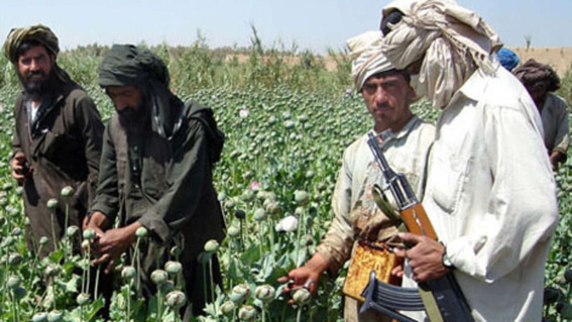 دیپلمات: طالبان در پی توقف کمک‌ها، به کشت مواد مخدر باز می‌گردد
