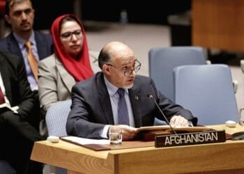 محمود صیقل: طالبان دیر یا زود رفتنی است