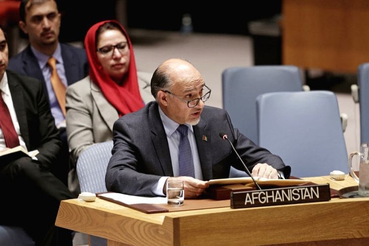 محمود صیقل: طالبان دیر یا زود رفتنی است