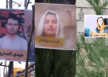 ایستادگی سبز؛ «سوزن طلایی» به نام فعالان در بند و رها شده از سوی طالبان نهال غرس کرد