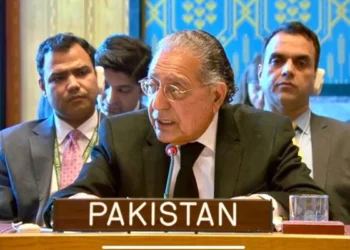 نماینده‌ی پاکستان: طالبان با «تی‌تی‌پی» همدست است