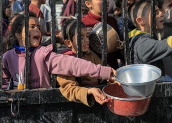 «قحطی در غزه»؛ دفتر رسانه‌ای غزه از خطر مرگ دسته‌جمعی مردم این منطقه هشدار می‌دهد