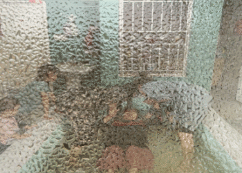 مبلغ مسیحی: در دو سال گذشته حدود یک‌هزار تن در افغانستان به مسیحیت گرویده‌اند