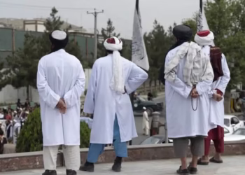 شورای اتلانتیک: برای مستندسازی آپارتاید طالبان، سازوکاری مشابه سوریه ایجاد شود