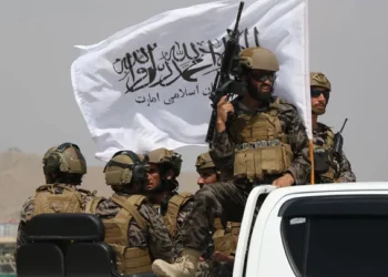 روزنامه‌ی پاکستانی: طالبان به سرکوب اعضای افغانستان‌تبار تی‌تی‌پی آغاز کرده‌ است