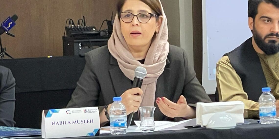 معاون پیشین وزارت امور زنان: طرح موزاییک ملل متحد ناکام است و باید به چالش کشیده‌ شود