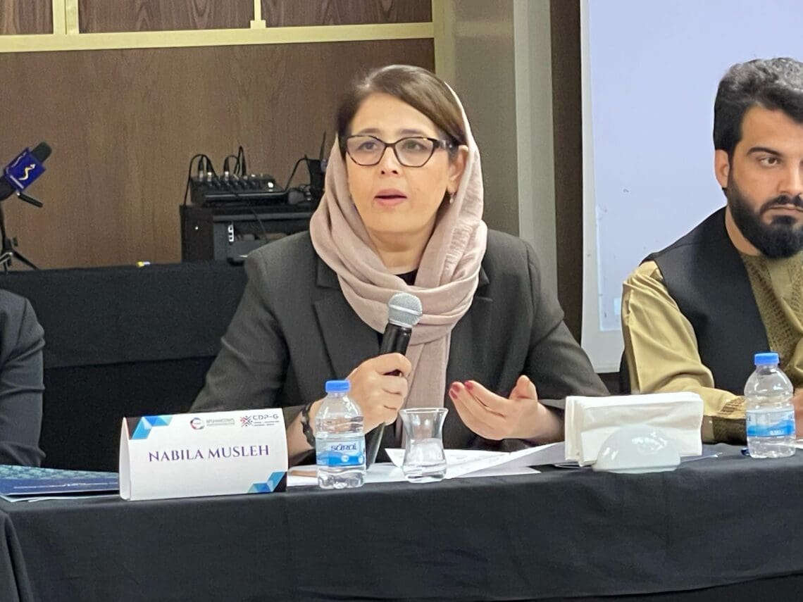 معاون پیشین وزارت امور زنان: طرح موزاییک ملل متحد ناکام است و باید به چالش کشیده شود