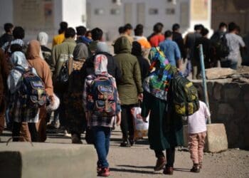 والی تهران از تشدید اخراج مهاجران غیرقانونی به‌دلایل «امنیتی» خبر داد