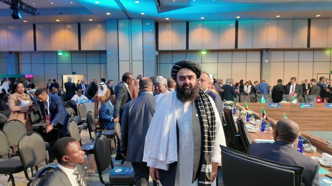 متقی در نشست سازمان همکاری اسلامی در استانبول شرکت کرد