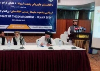 کارشناس یا ملا؟ طالبان برای دریافت دیدگاه عالمان دین درباره‌ی محیط زیست کارگاه برگزار کرد