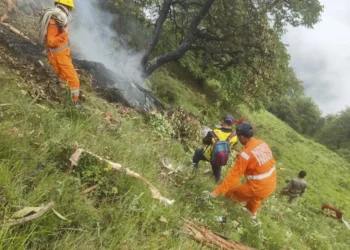 سقوط چرخ‌بال حامل زائران هندو در هند ۷ کشته برجا گذاشت