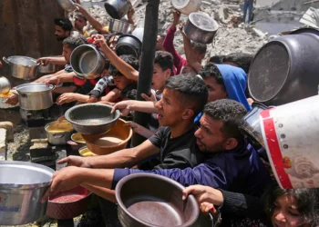 برنامه‌ی جهانی خوراک: قیمت یک کیلوگرام آرد در غزه ۱۰۰ دالر است