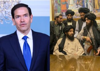 سیگار: حتی تصور عادی‌سازی روابط با طالبان ناممکن است