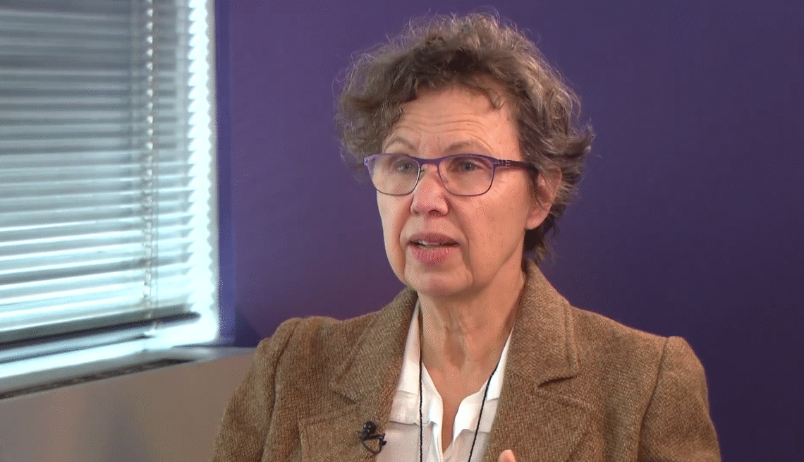 شرل بنارد به تلویزیون دیار: حساب اکس جعلی است، امرالله صالح را نمیشناسم