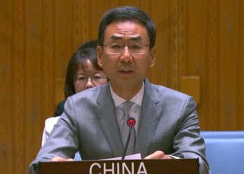 چین: گروه‌های هراس‌افگن همچنان از افغانستان حملات شنیع را سازمان‌دهی می‌کنند