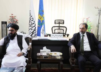 طالبان خواستار بازگشت مهاجران از ترکیه شد