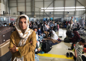 حزب الترناتیو برای آلمان خواستار توقف برنامه‌ی پذیرش پناه‌جویان افغانستان شد